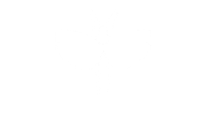 MyBugBar