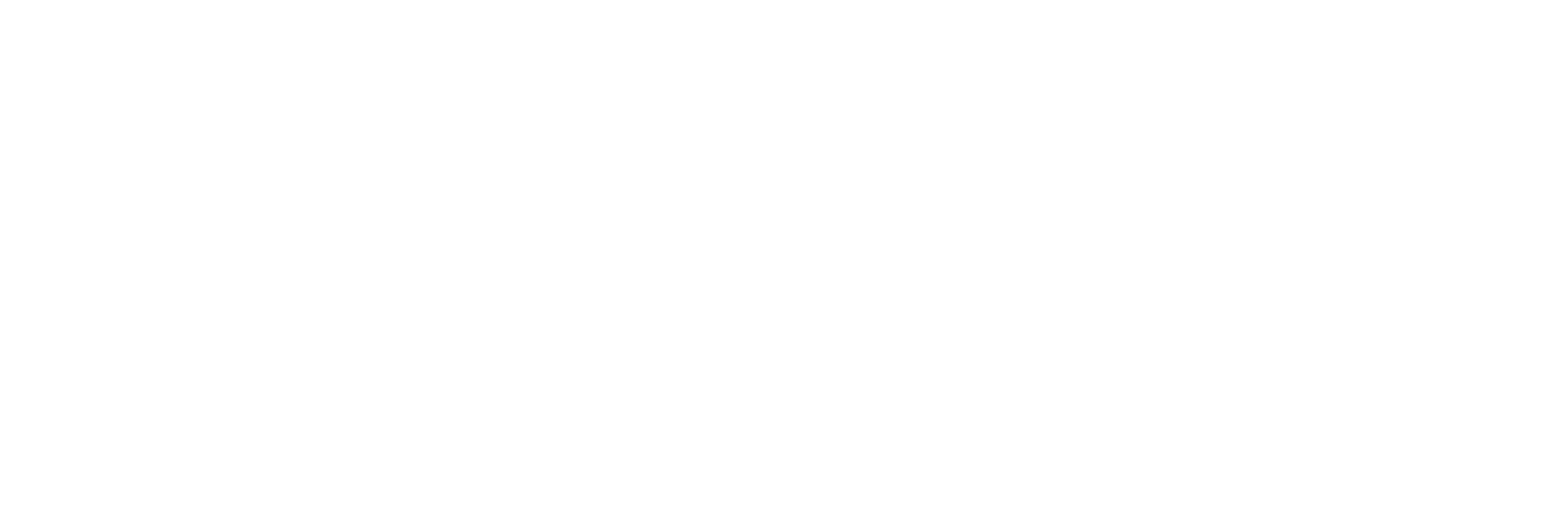 Another Agency Formlogo Weiß Bold